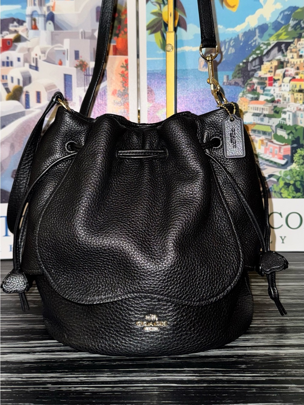 COACH Petal Tea Rose 22 Bucket Bag Black Pebble Leather - Like New 2017 (F11807) - Picture 3 of 15